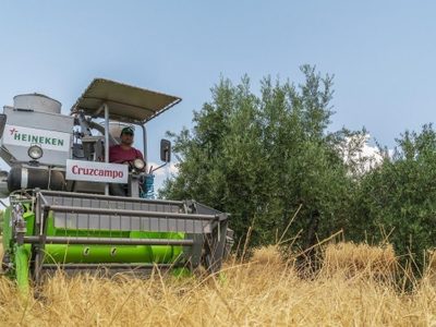 Proyecto Olivo: trabajo mancomunado y sustentable en el sector cervecero