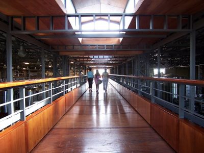Bodega del Fin del Mundo lanza nuevos negocios