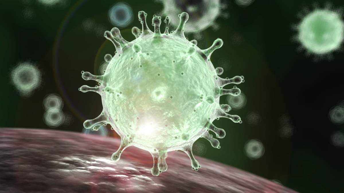 Coronavirus. Fuente: (Twitter)