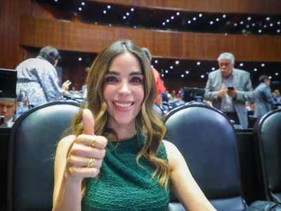 “Una disculpa fue suficiente”: Diputada Barreras busca frenar fallo contra Karla Estrella Murrieta
