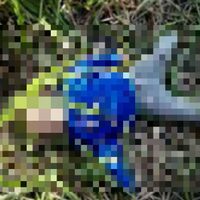 Otro niño es asesinado en Tabasco; suman dos casos en menos de una semana
