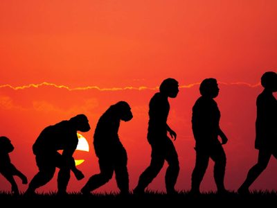 Hallazgo histórico en China: científicos descubren una nueva especie humana