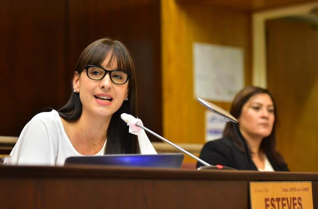 Leticia Esteves, diputada de Juntos por el Cambio. Fuente: (Twitter)