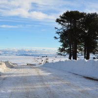 Solo cuatro rutas se encuentran intransitables y todos los cruces fronterizos están habilitados