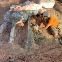 Descubren en Portugal el que podría ser el dinosaurio más grande de Europa jamás hallado
