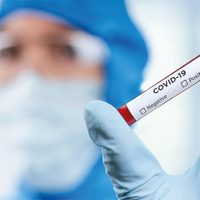 Una viróloga china aseguró que su país ocultó información sobre el coronavirus