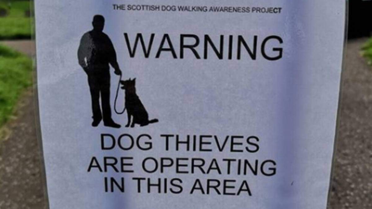 Carteles que alertan en Escocia sobre la presencia de ladrones de perros