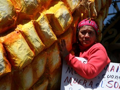 Senadores de EU piden elevar al T-MEC el rechazo de AMLO a su maíz transgénico
