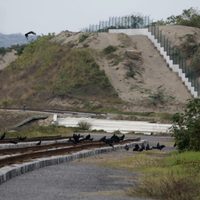 El Colectivo Solecito: dos años de escarbar en el "narcocementerio" más grande de Latinoamérica