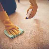 Como lo hacían las abuelas: el truco para limpiar las alfombras sin mojarlas y usando solo 1 producto