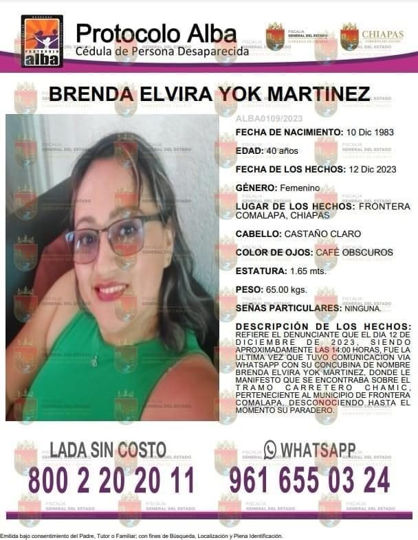Protocolo Alba. Cartel de búsqueda de Brenda Elvira Yok