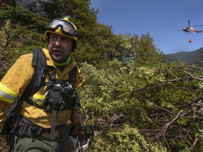 Provincias patagónicas preparan protocolos unificados para prevenir y enfrentar incendios forestales