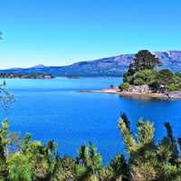 El ritual que florece en la cordillera: el pueblo de Neuquén que abre su fiesta plantando un pehuén