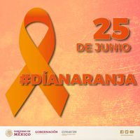 ¿Qué es el Día Naranja?