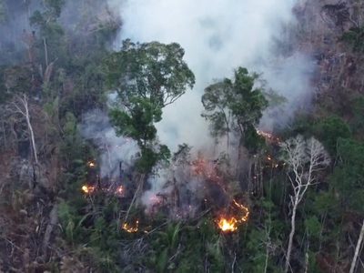 Contra toda prueba, Bolsonaro niega los incendios en la Amazonia