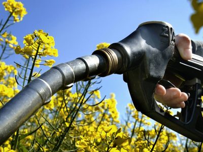 Piden iniciar el tratamiento de la prórroga de la Ley de Biocombustibles