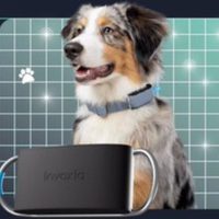 Rastreadores para collar, puertas y comederos inteligentes: las novedades tecnológicas para mascotas