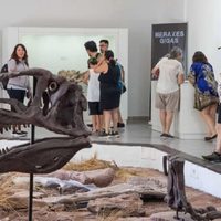 Neuquén promociona los atractivos turísticos con degustaciones y realidad virtual en el Shopping