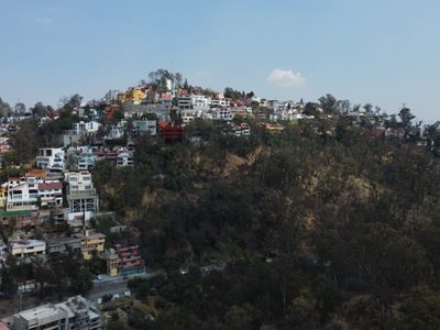 Los gerentes del abandono: La desprotección institucional del Bosque de Los Remedios