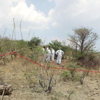 Exhuman ocho cuerpos de dos narcofosas en Tarímbaro