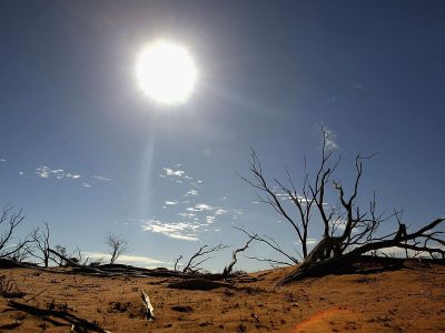 La ONU advierte que existe una amenaza para la vida peor que el coronavirus
