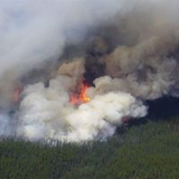 Incendios y calentamiento cambian rápidamente ecosistemas en Canadá