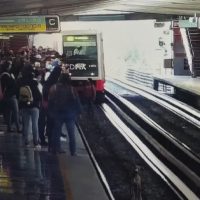 Usuario del Metro baja a vías para rescatar a perro en la estación Jamaica