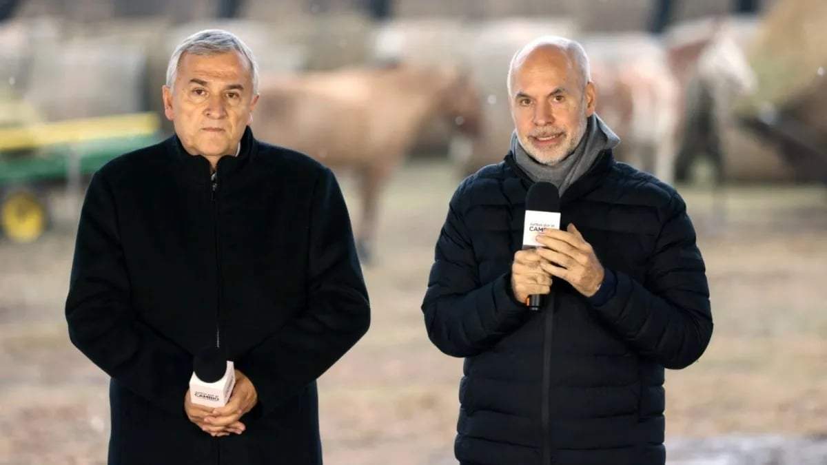 Horacio Rodríguez Larreta presentó sus propuestas para el sector agrícola. Fuente: (Twitter)