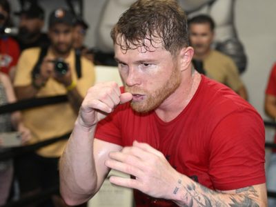 "No golpea": los dos excampeones que criticaron a Canelo Álvarez