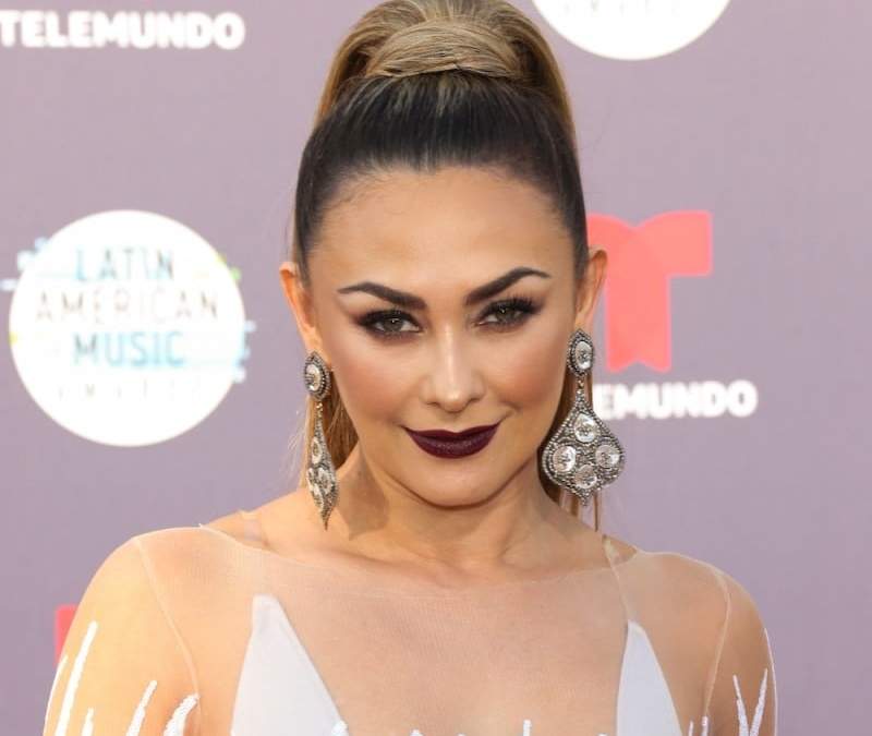 Aracely Arámbula. Fuente: (Instagram)