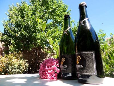 Sidra neuquina Premium ahora llega en lata