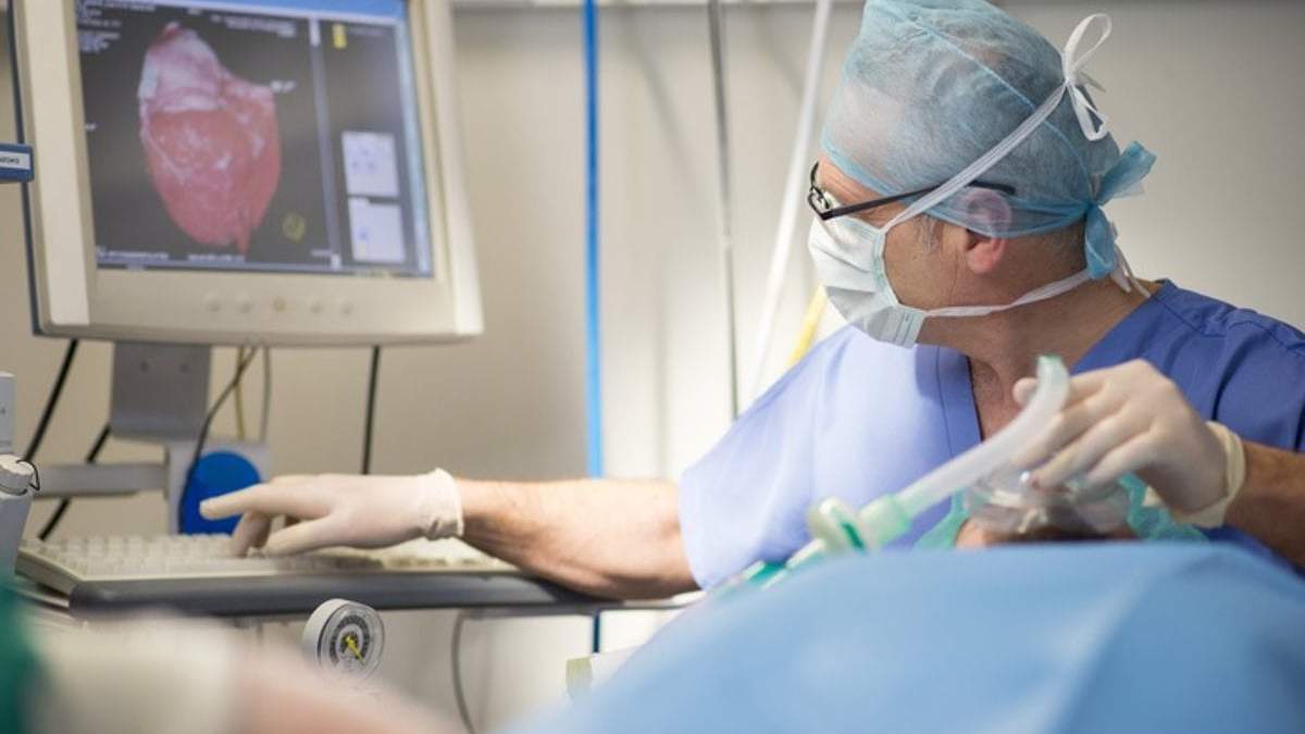 Factores de riesgo y enfermedades cardiovasculares