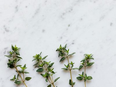 La planta aromática que es un tesoro natural: aprovecha sus beneficios digestivos, antioxidantes y relajantes en una simple infusión