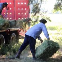 Neuquén anunció mejoras en las líneas de crédito para agricultura familiar