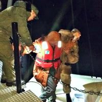 ¡En el lago Frías!: Rescate con final feliz en Río Negro