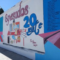 Zapala: en un acto presencial, alumnos egresados de la Escuela 257 inauguraron un mural