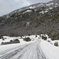 Vialidad pidió extremar la precaución en la ruta nacional N° 40
