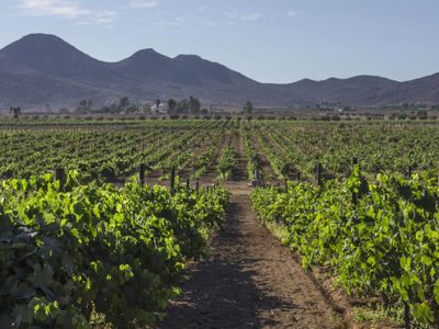 Pronóstico del clima en Mexicali este lunes 11 de mayo: calor extremo