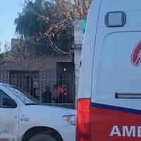 Un dogo argentino cruzó un alambrado, se metió en otra casa y mordió a un adulto mayor