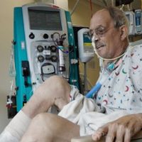 Un mes después de un trasplante de corazón porcino, paciente no muestra señales de rechazo