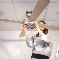 Olvidate del técnico: así podés limpiar tu ventilador de techo fácil, rápido y sin peligro