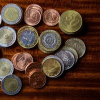 Con esta planta milagrosa: el ritual con el que multiplicarás tu dinero "como arroz"