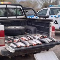 La dirección de Fauna de Neuquén informó sobre el trabajo de seguridad rural y ambiental