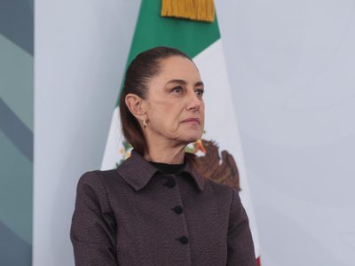 Fábrica de moscas contra el gusano barrenador se terminará en dos meses: Sheinbaum