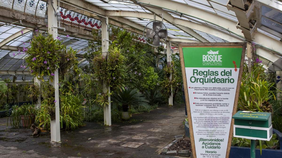 El orquideario forma parte del Jardín botánico