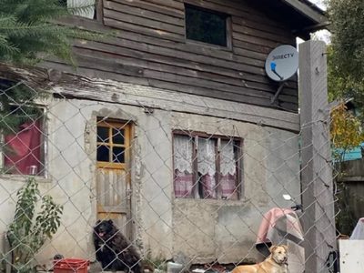 Una mujer y su hija de 4 años fueron atacadas por dos perros