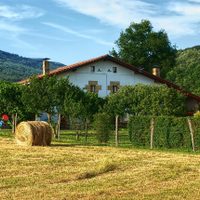 El medioambiente cobra importancia en el sector del campo español