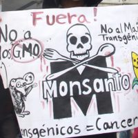 Juez de EU falla a favor de una pareja que enfermó de cáncer por usar herbicida de Monsanto