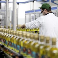 Repunte de la actividad industrial: creció un 2.2% en el mes de noviembre