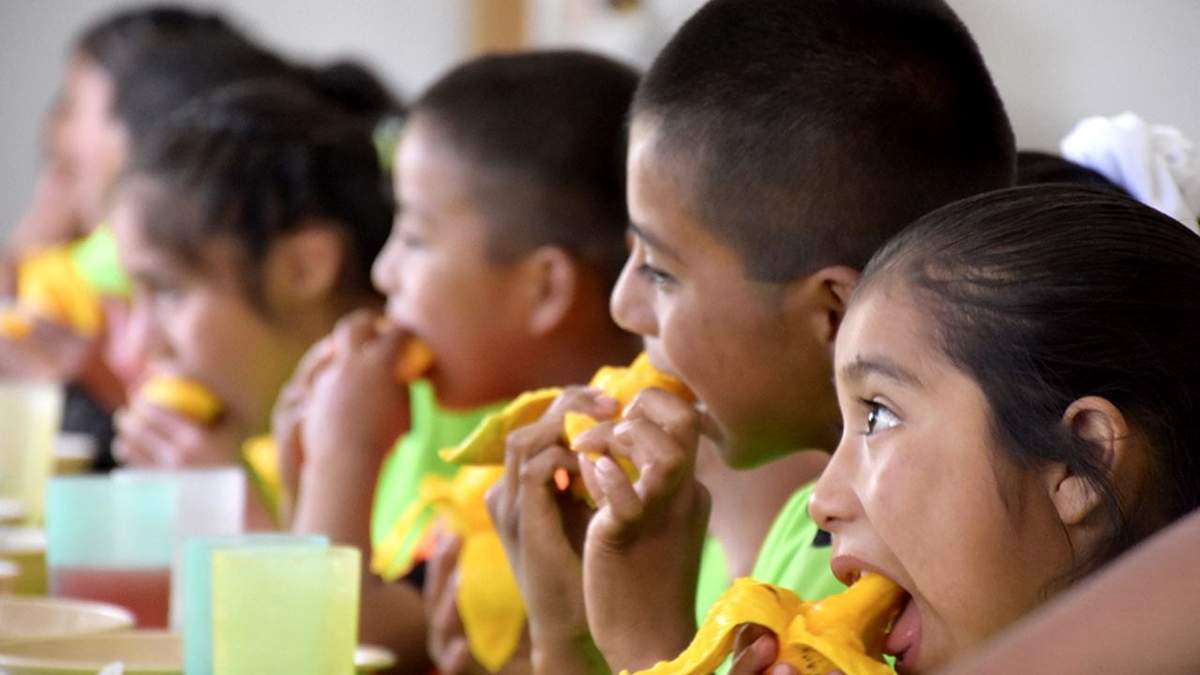 Derecho a la alimentación. Legislación pendiente
